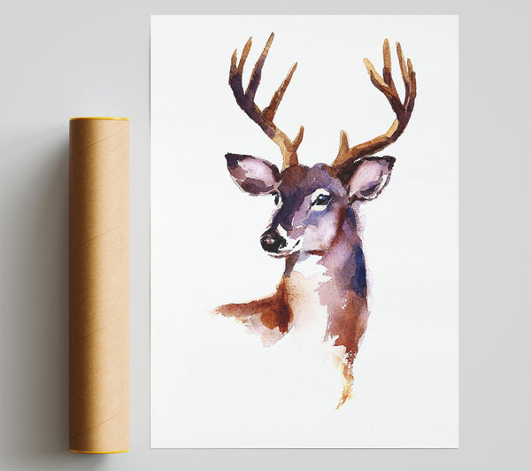 Female Deer Giclee Print