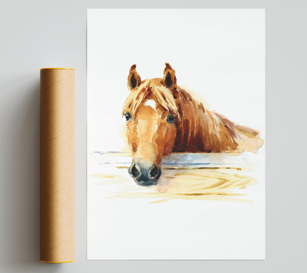 Horse At The Stables Print