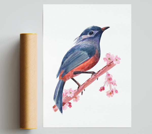 Chaffinch Bird Cherry Blossom Print