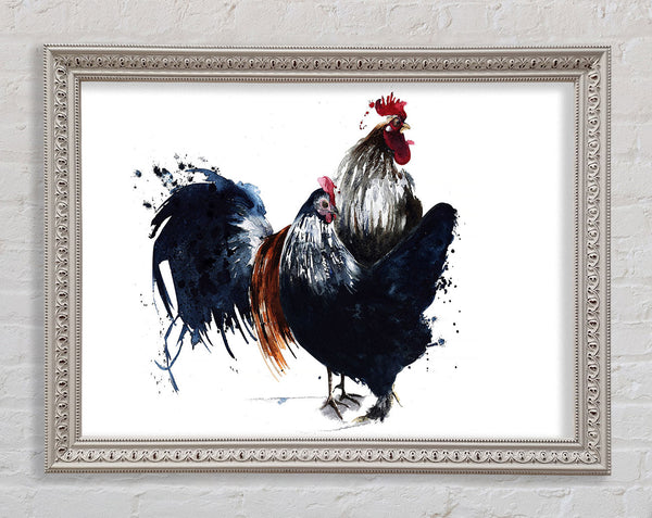 Hen Duo Framed Print
