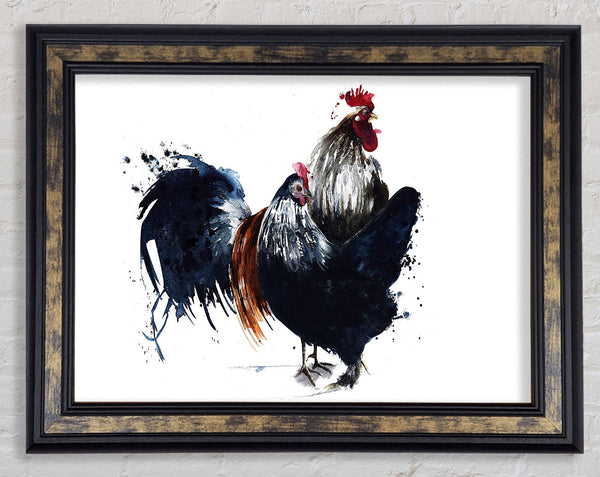 Hen Duo Framed Print