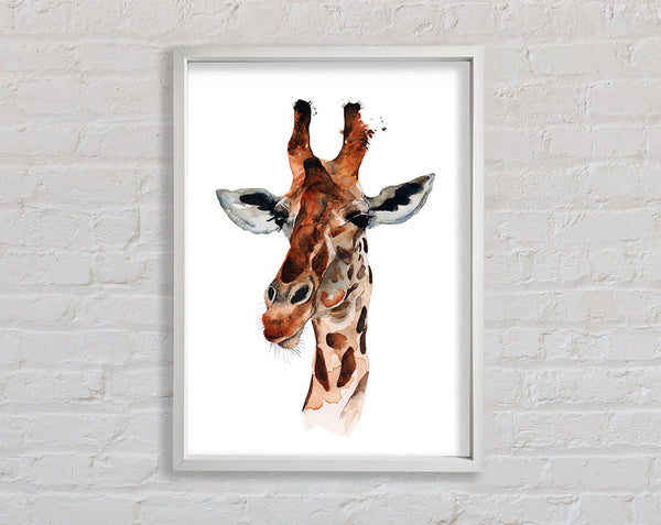 Curious Giraffe Framed Print