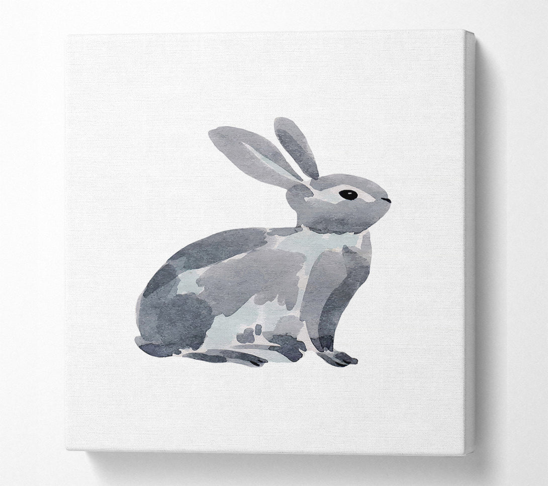  A Canvas Print of Grey Rabbit Canvas Print