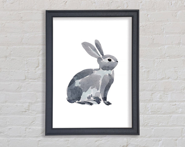 Grey Rabbit Framed Print