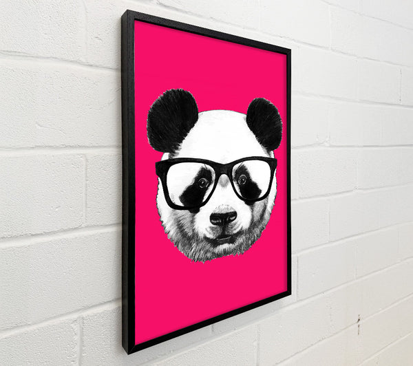 Funky Panda