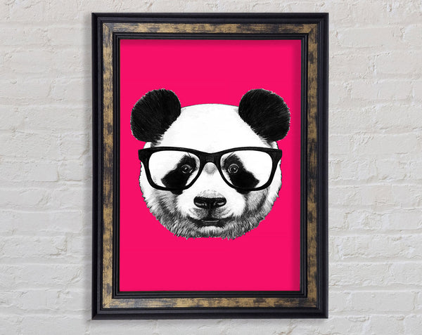 Funky Panda Framed Print
