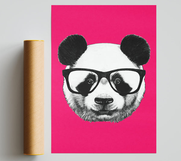 Funky Panda Print