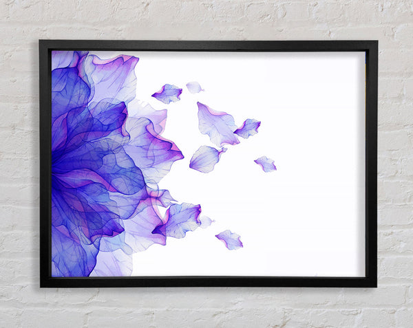 Whisper 4 Framed Print