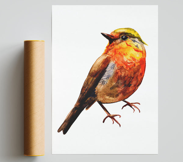 Robin Red Breast Print