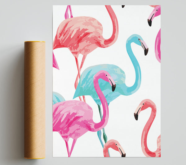 Flamingo Colours Giclee Print