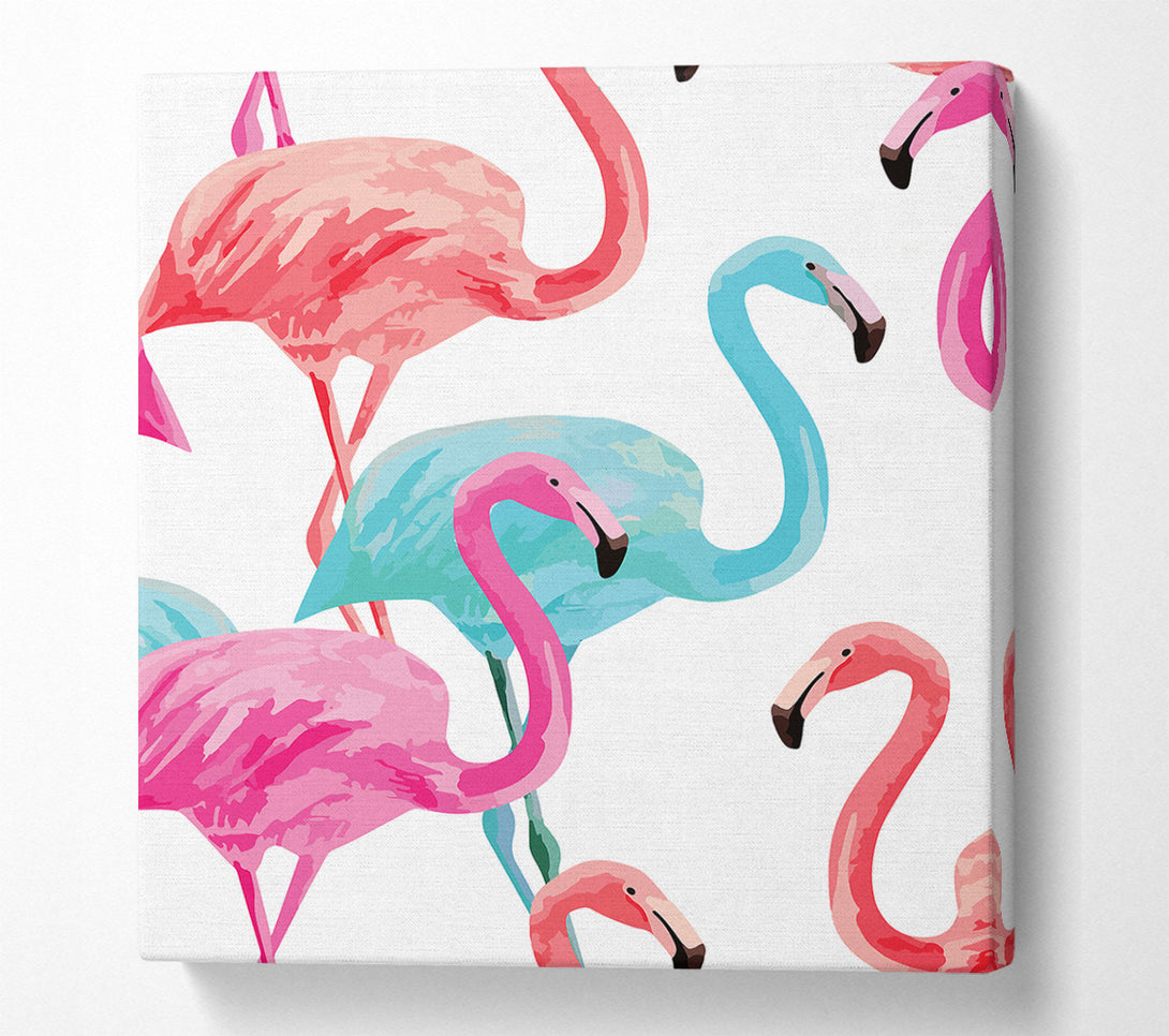  A Canvas Print of Flamingo Colours Canvas Print