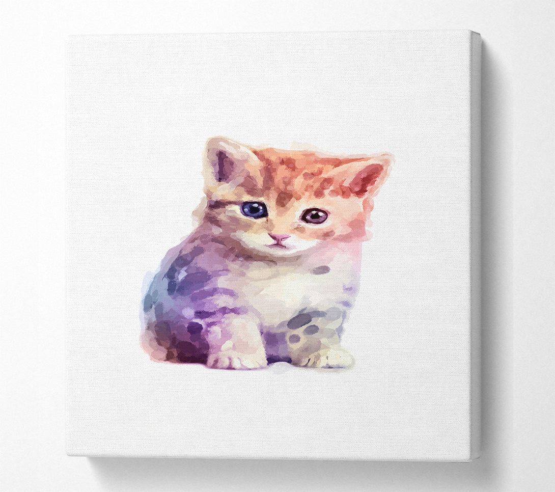  A Canvas Print of Cute Kitten Canvas Print