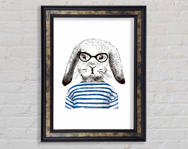 Roger The Rabbit Framed Print