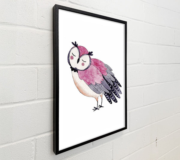 Pink Owl