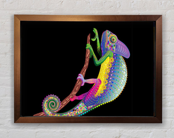 Chameleon Rainbow Framed Print