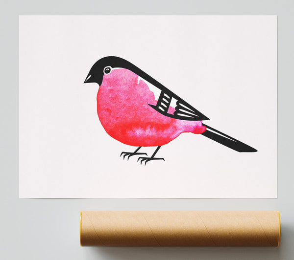 Pink Robin Breast Print