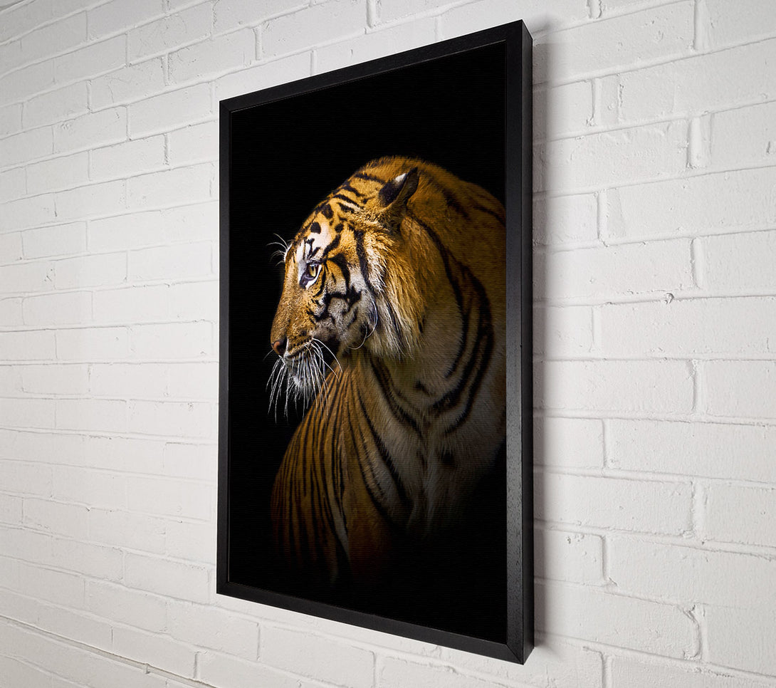  A Canvas Print of Beautiful Tiger Canvas Wall Art