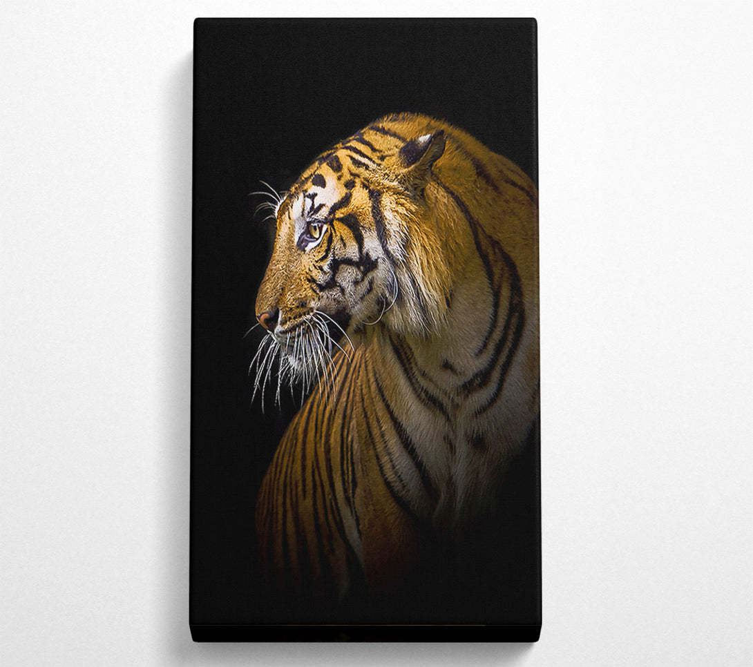  A Canvas Print of Beautiful Tiger Canvas Wall Art