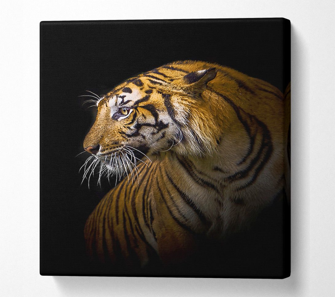  A Canvas Print of Beautiful Tiger Canvas Wall Art