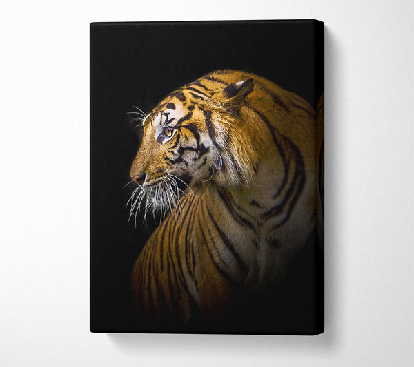  A Canvas Print of Beautiful Tiger Canvas Wall Art