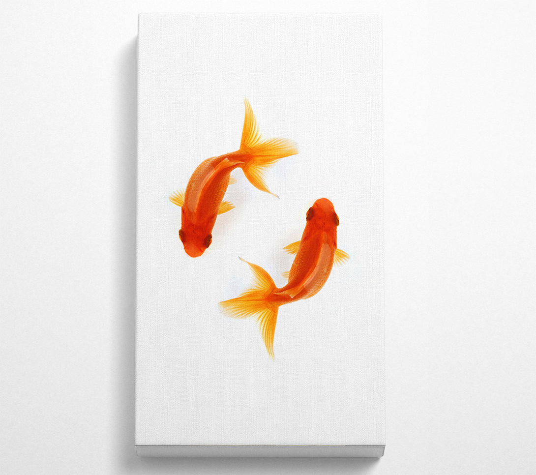  A Canvas Print of Goldfish Reflections Canvas Wall Art