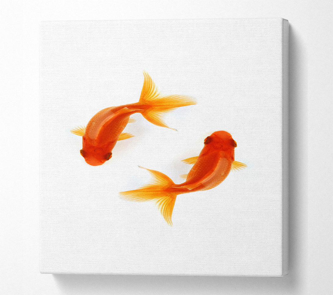  A Canvas Print of Goldfish Reflections Canvas Wall Art