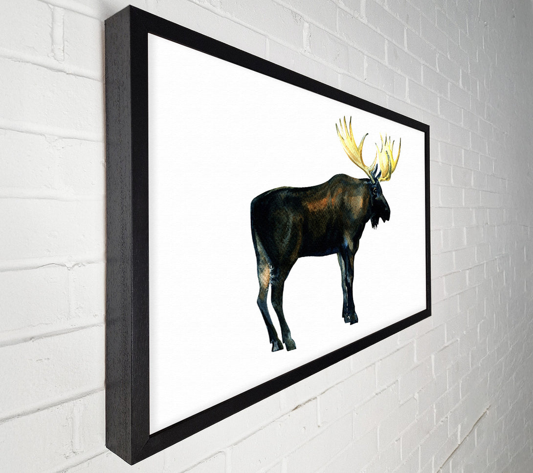  A Canvas Print of Moose Canvas Art