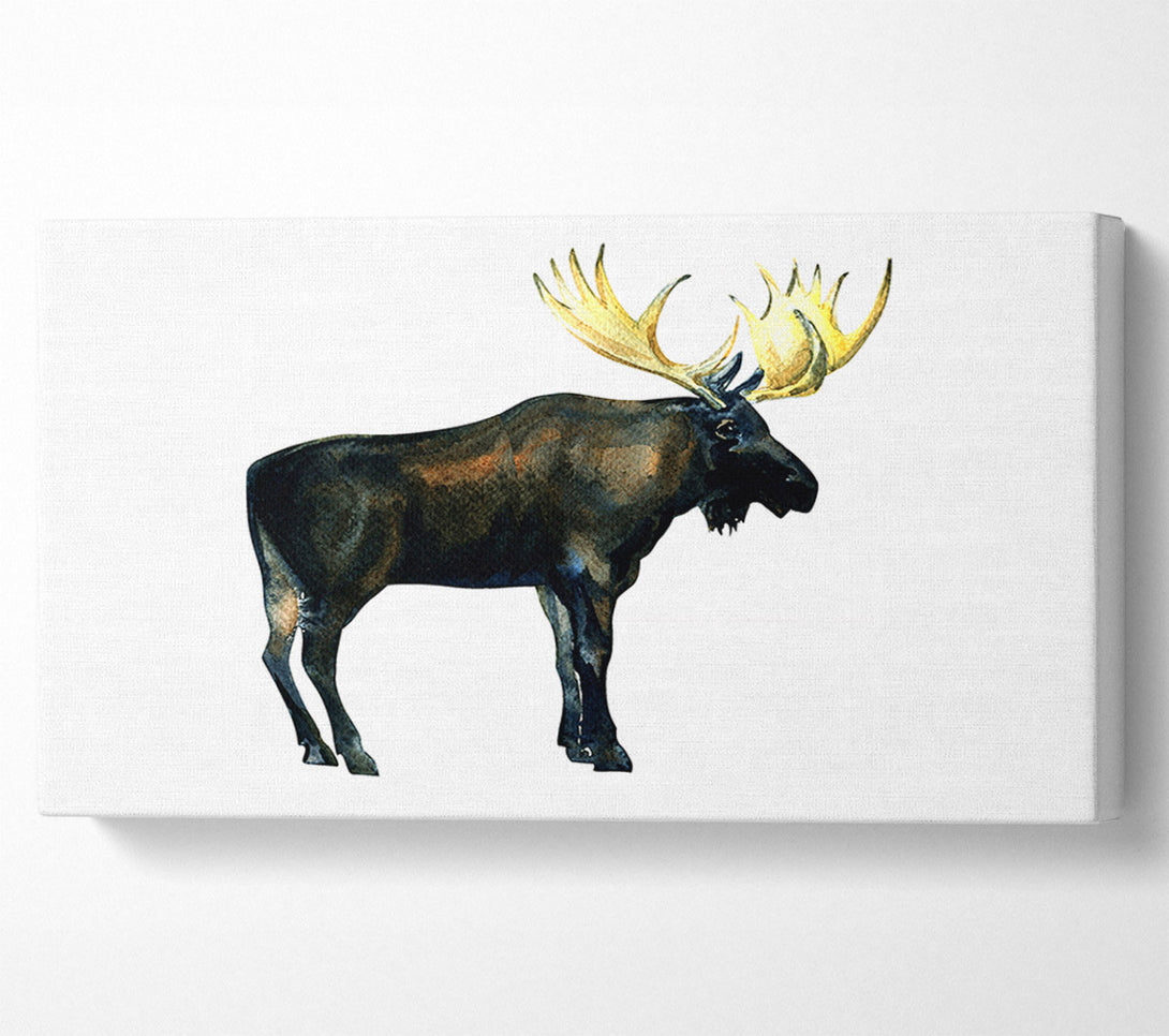  A Canvas Print of Moose Canvas Art