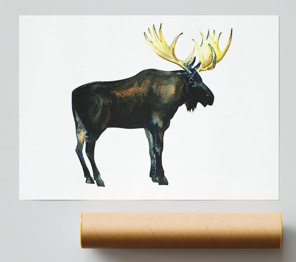 Moose Giclee Print