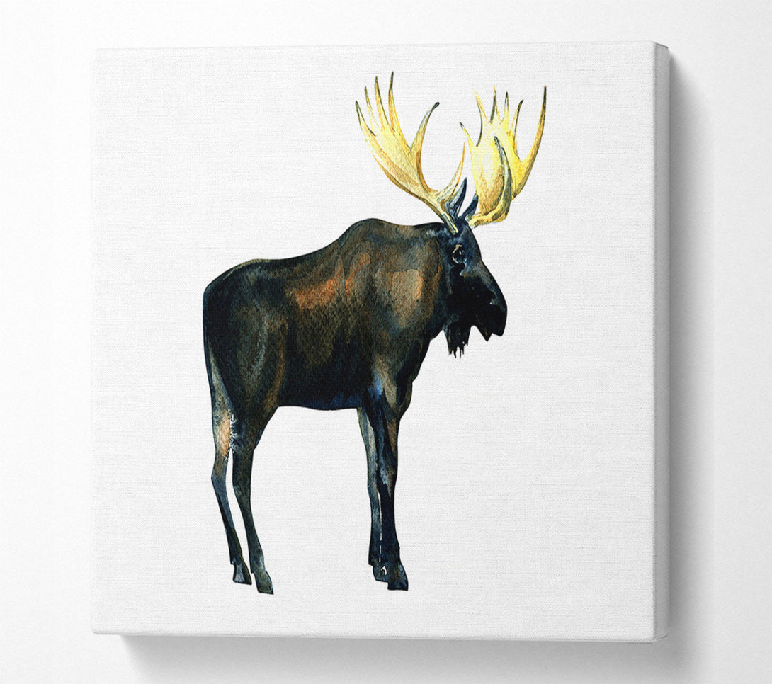  A Canvas Print of Moose Canvas Art