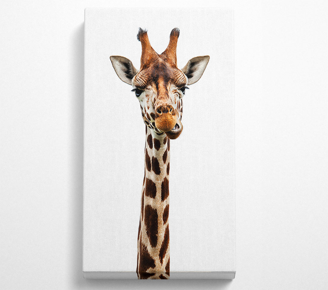  A Canvas Print of Goofy Giraffe Canvas Print