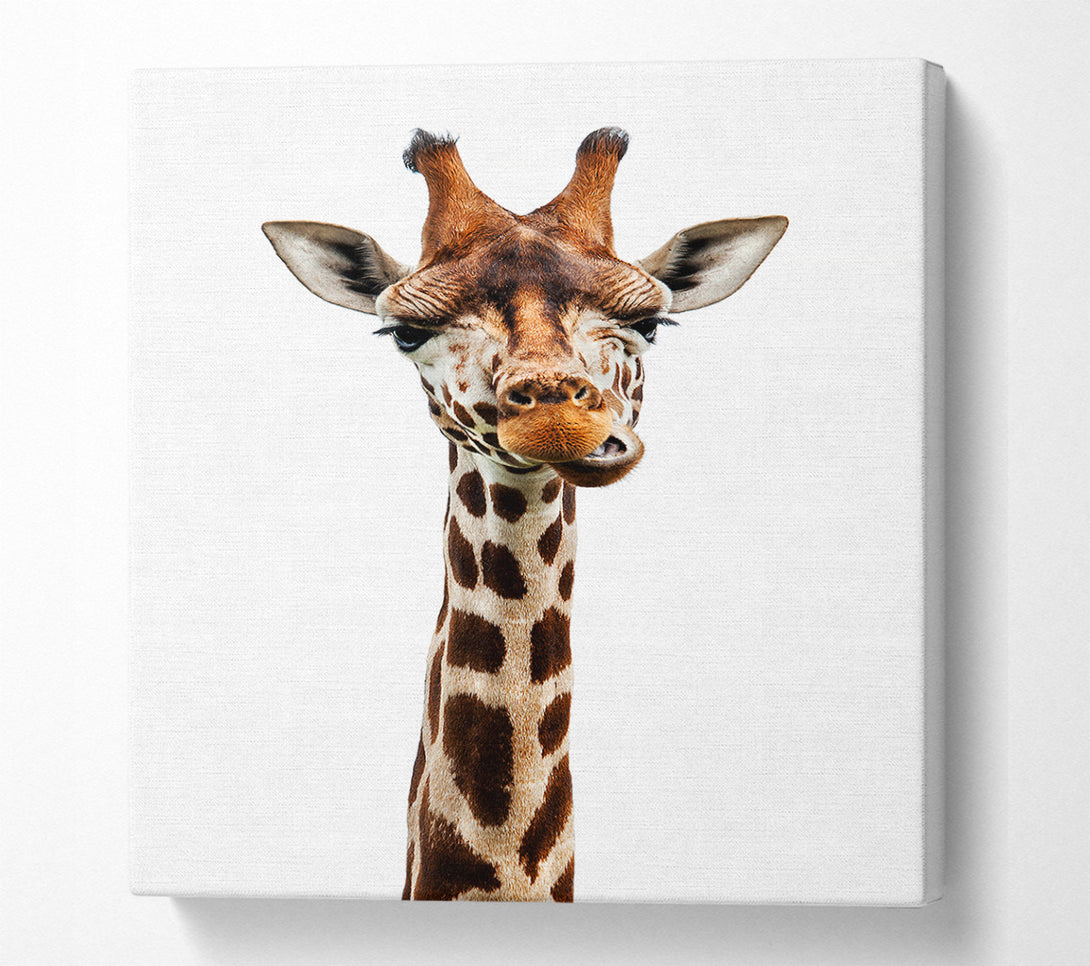  A Canvas Print of Goofy Giraffe Canvas Print
