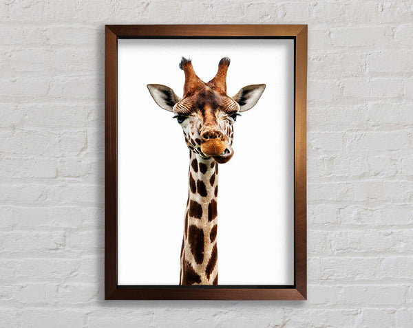 Goofy Giraffe Framed Print