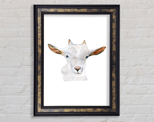 Baby Goat Face Framed Print