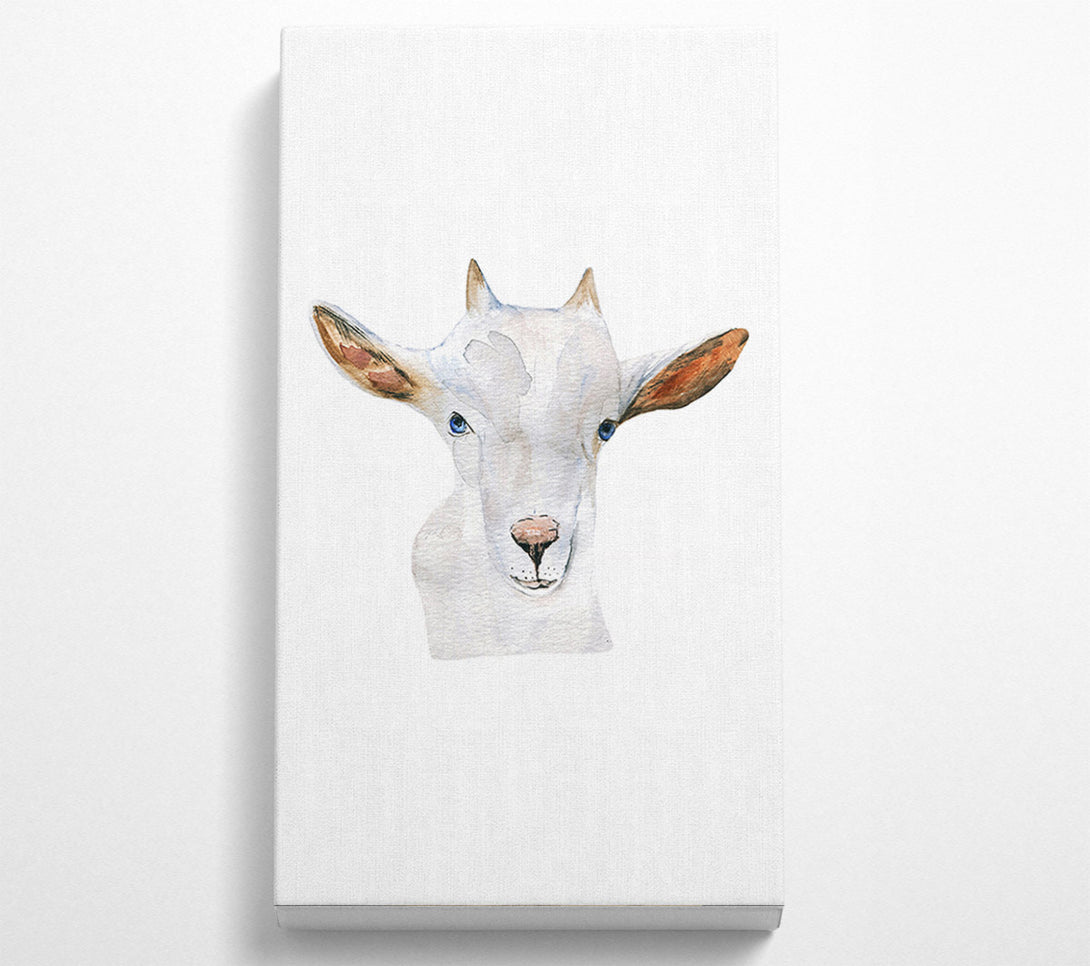  A Canvas Print of Baby Goat Face Canvas Print