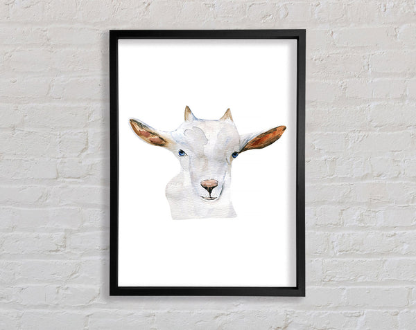 Baby Goat Face Framed Print