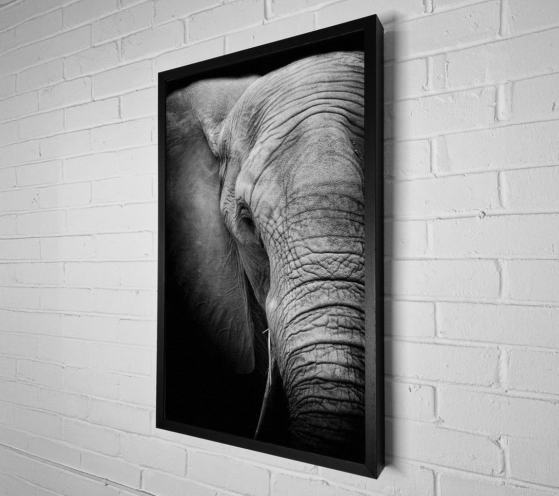  A Canvas Print of Elephant Power Canvas Wall Art
