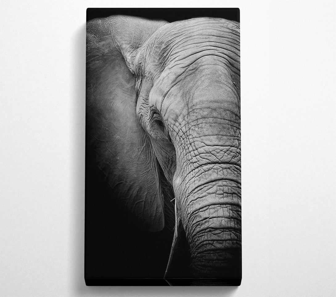  A Canvas Print of Elephant Power Canvas Wall Art
