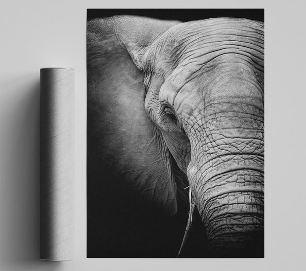 Elephant Power Poster