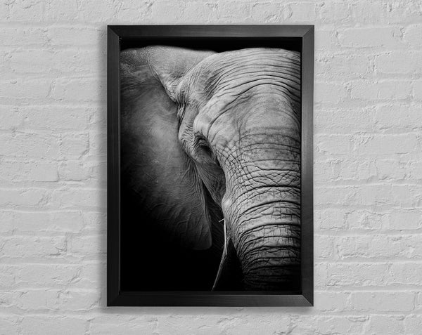 Elephant Power Framed Print