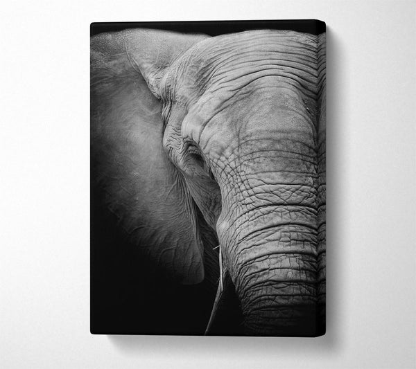  A Canvas Print of Elephant Power Canvas Wall Art