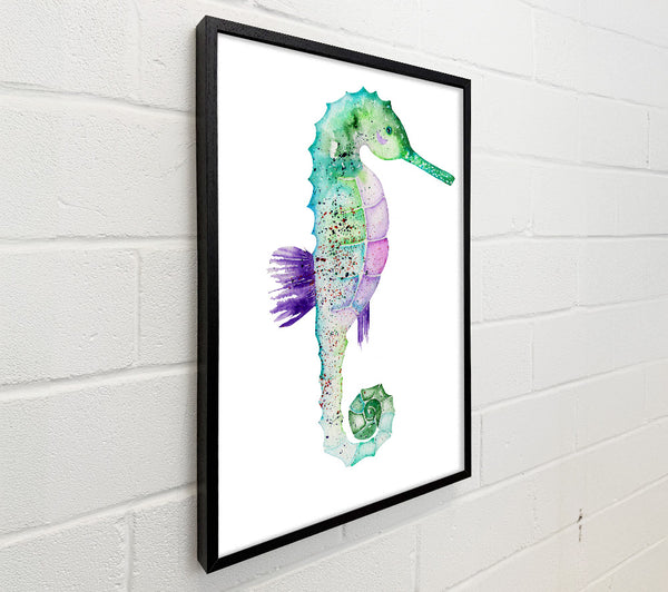 Spotted Seahorse