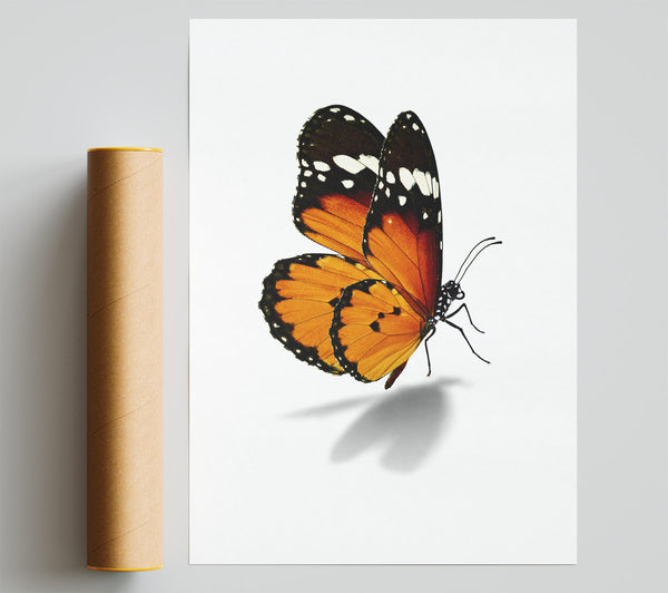 Orange Butterfly Print