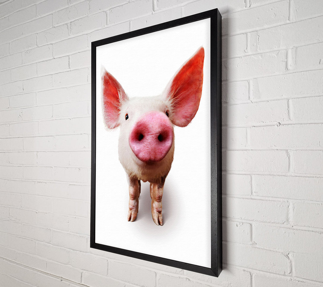  A Canvas Print of Curious Pig Canvas Wall Art