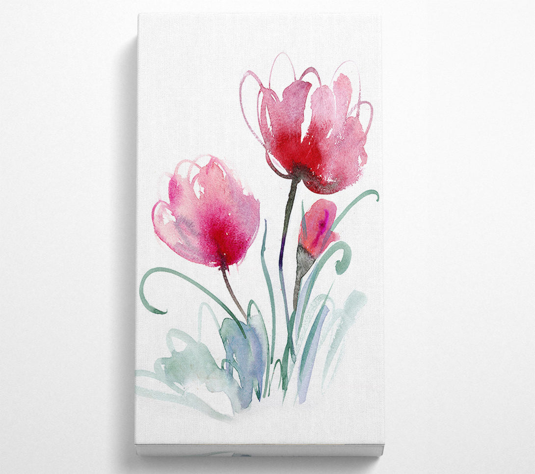  A Canvas Print of Poppy Stems Canvas Art