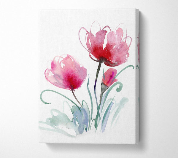  A Canvas Print of Poppy Stems Canvas Art