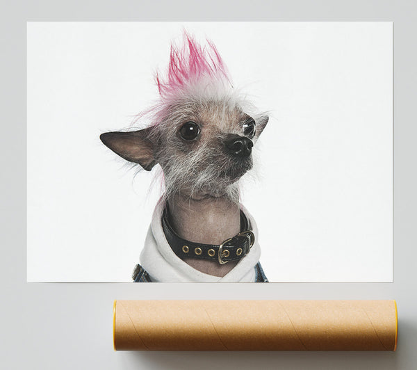 Chinese Crested Punk Dog Print