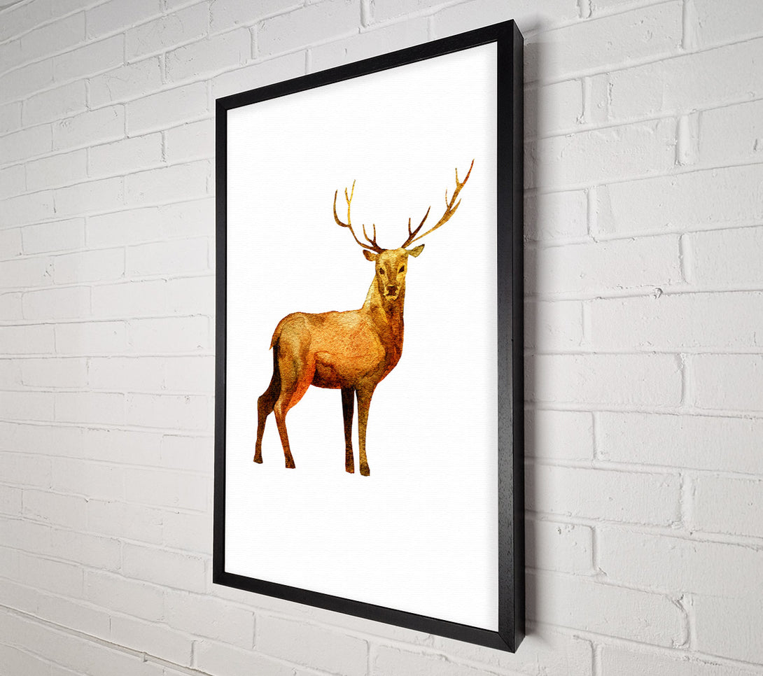  A Canvas Print of Deer Delight Canvas Art