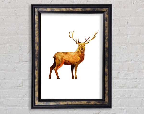Deer Delight Framed Print