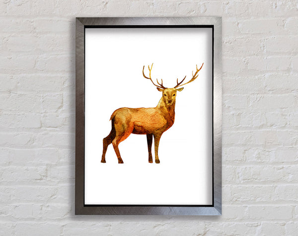 Deer Delight Framed Print